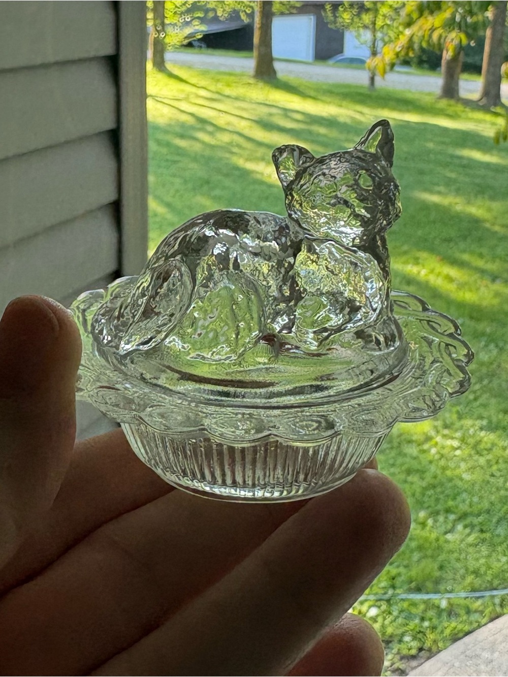 NEW Mosser glass crystal cat on a nest basket salt cellar LIMITED RELEASE